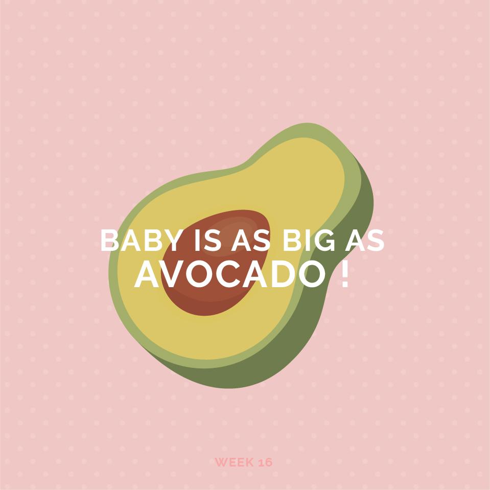 Pregnancy Week 16