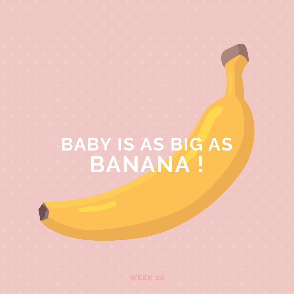 Pregnancy Week 20