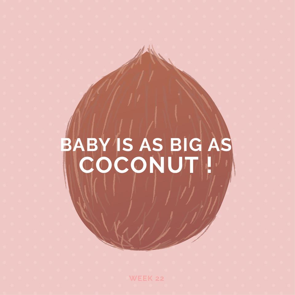 Pregnancy Week 22