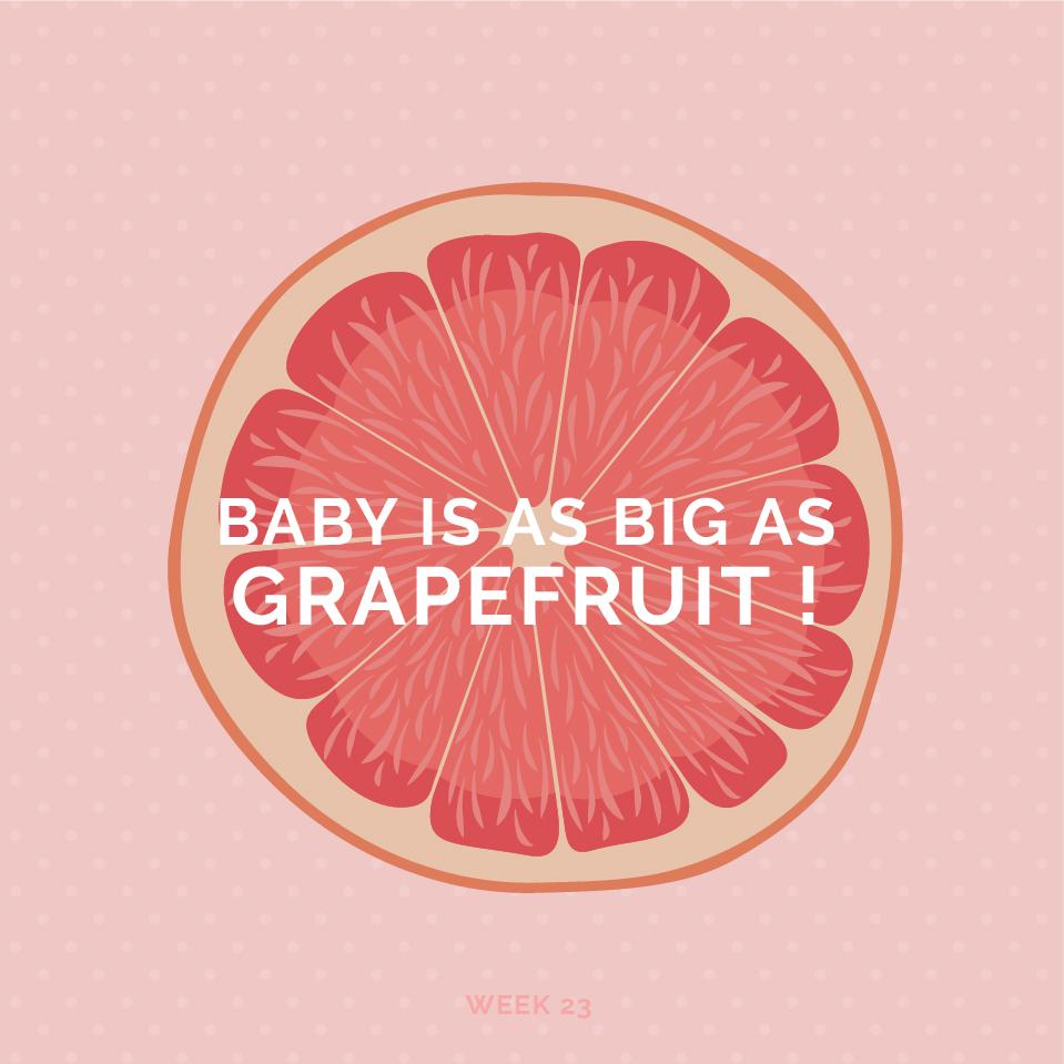 Pregnancy Week 23