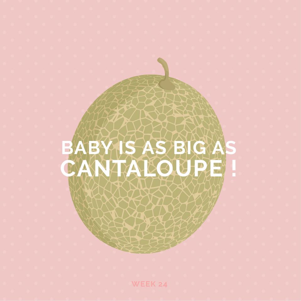 Pregnancy week 24