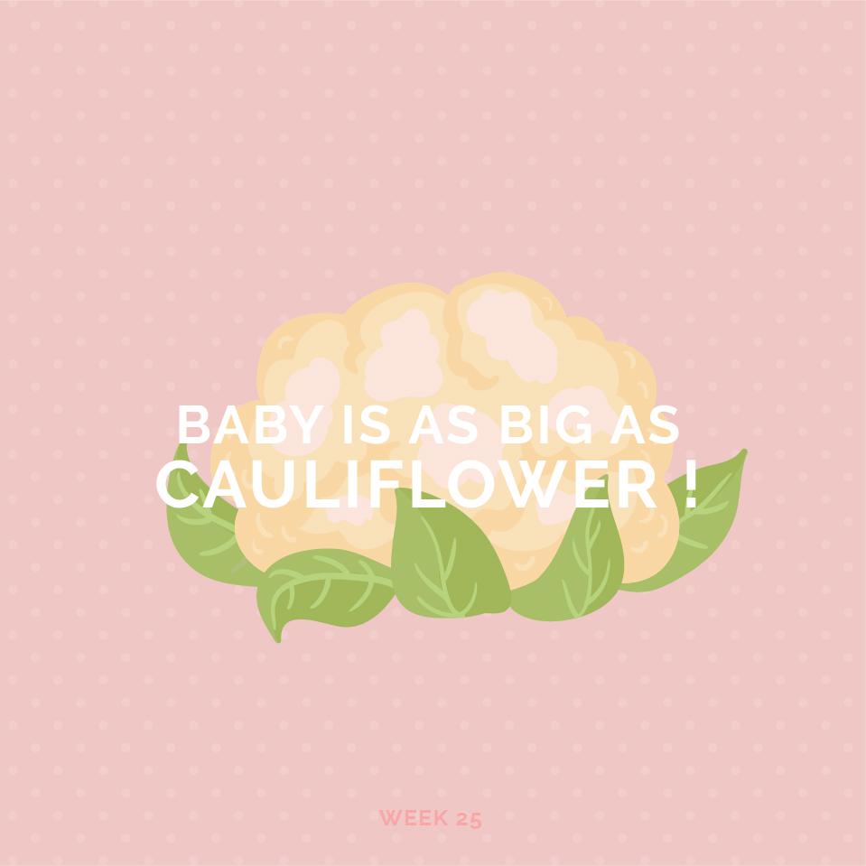 Pregnancy Week 25
