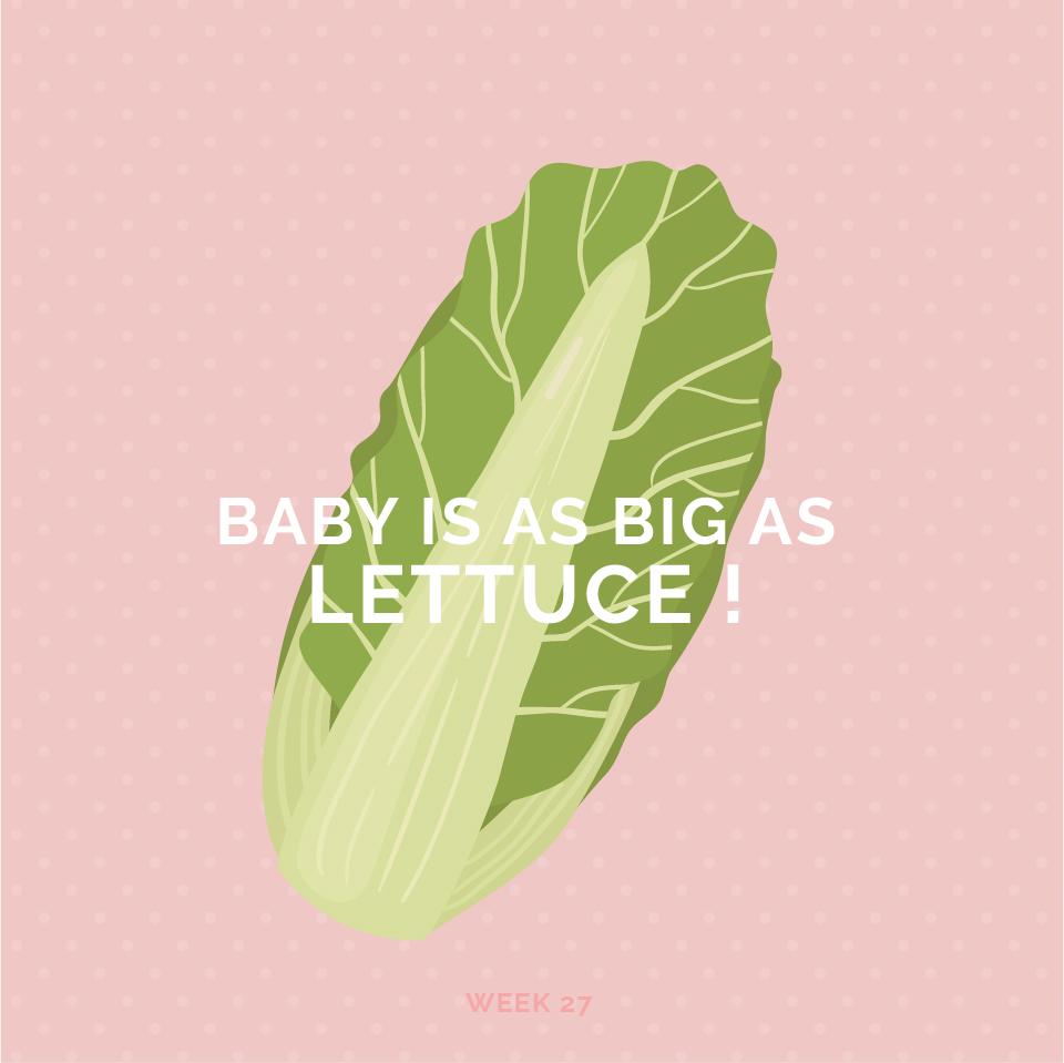Pregnancy Week 27