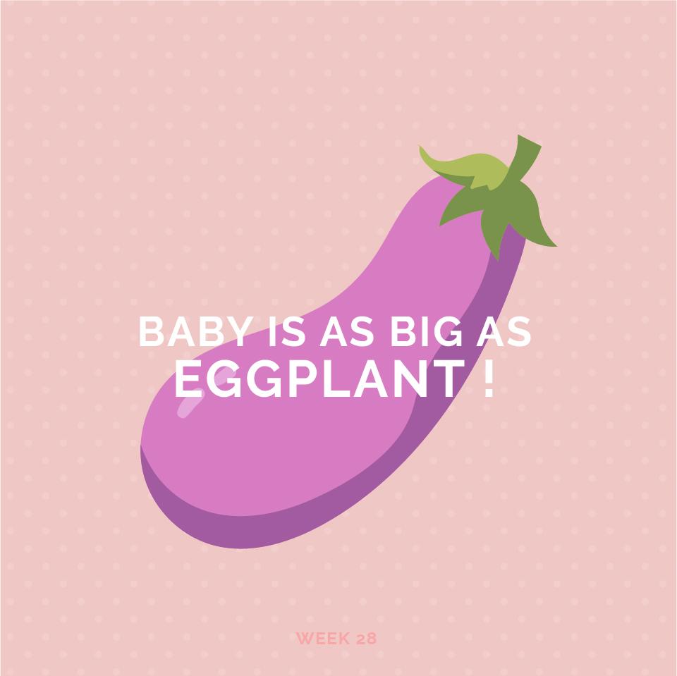 Pregnancy Week 28
