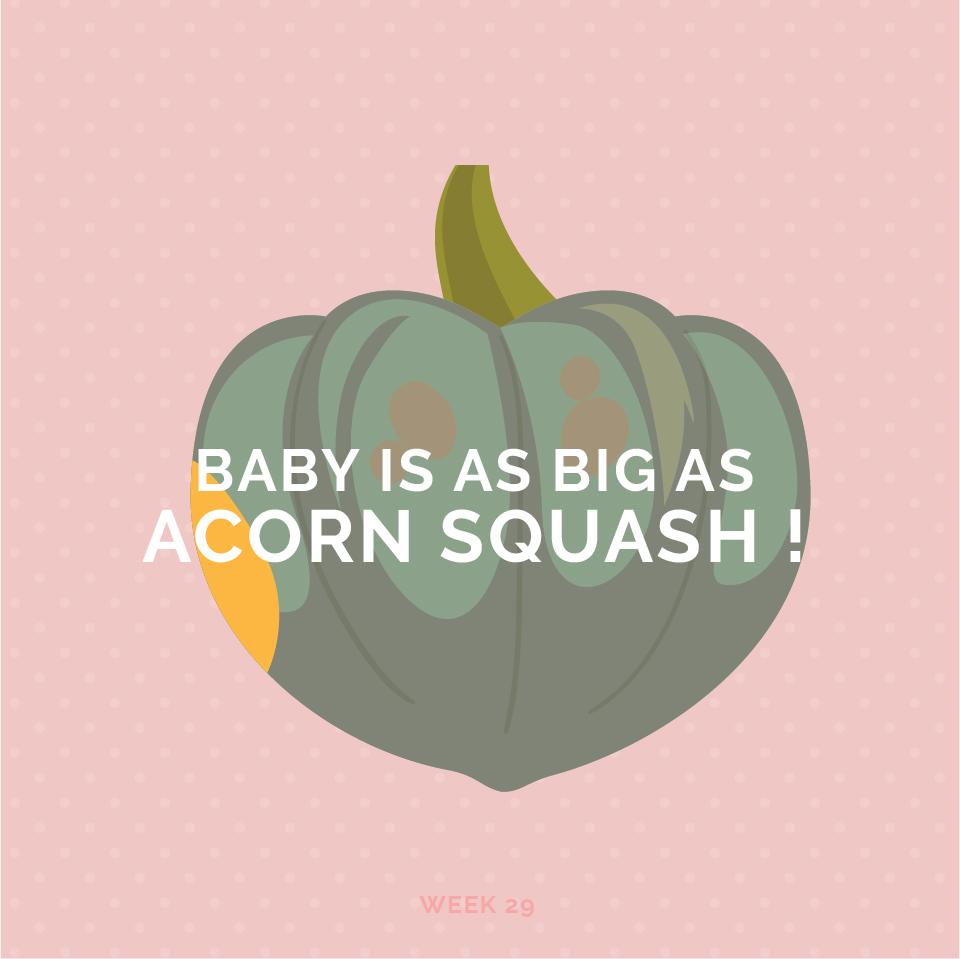 ตั้งครรภ์สัปดาห์ที่ 29