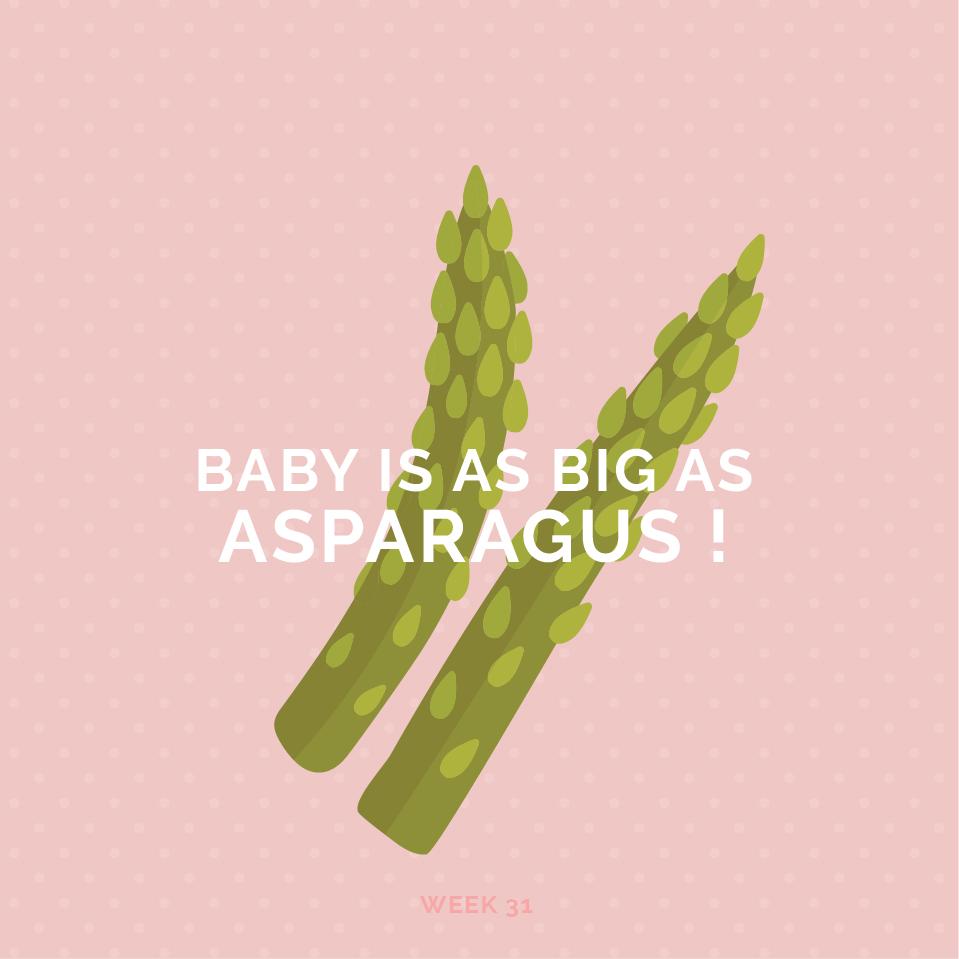 ตั้งครรภ์สัปดาห์ที่ 31